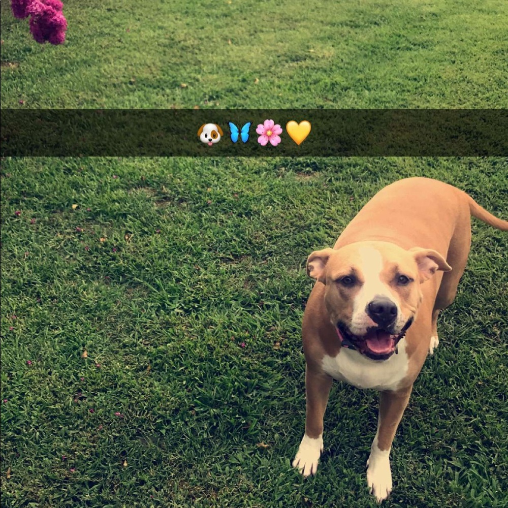 Meet your Posher, Ranata